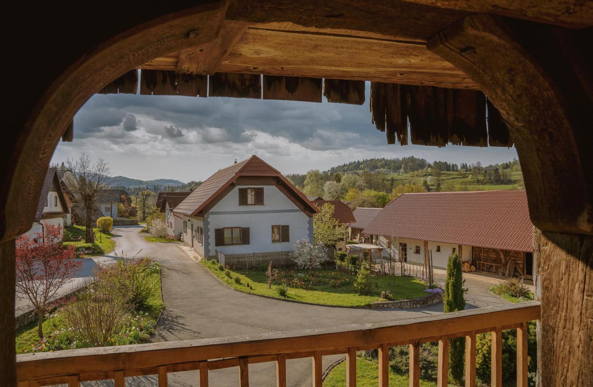 House Of Culture And Nature - Hisa Kulture In Nature Zagradec Esterno foto