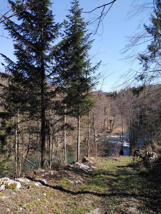 House Of Culture And Nature - Hisa Kulture In Nature Zagradec Esterno foto